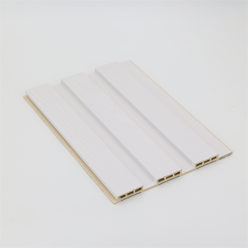 WPC wall panels city