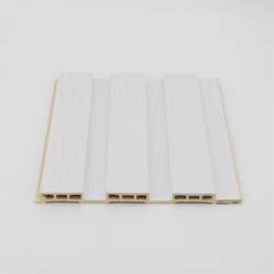 WPC wall panels area